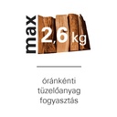 MSS Economic 7 fatüzelésű kályha (7 kW - acéllemez) 6