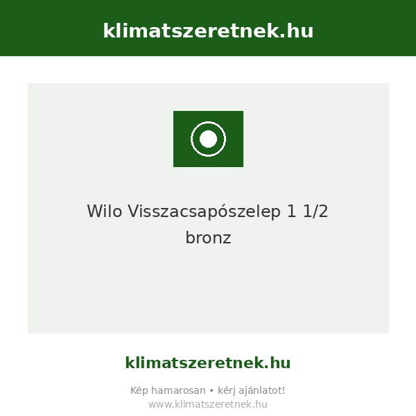 Wilo Visszacsapószelep 1 1/2" bronz