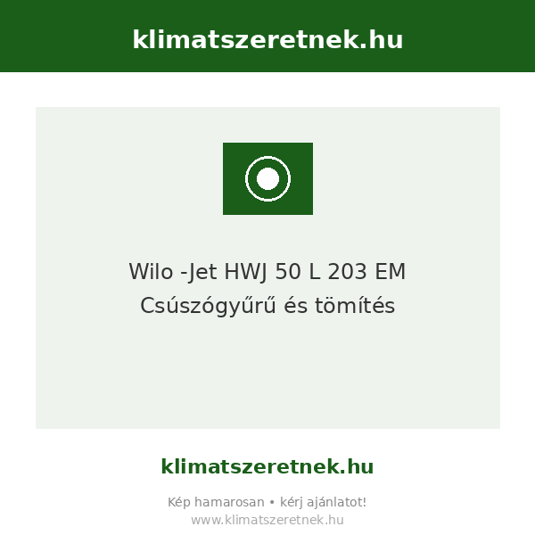 Wilo -Jet HWJ 50 L 203 EM Csúszógyűrű és tömítés